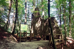 Rusevine_gradu_Strlek_2013